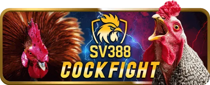 Cá cược Bóng rổ tại w79 game